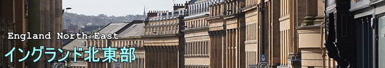 �C���O�����h�k����