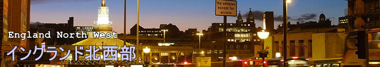 �C���O�����h�k����