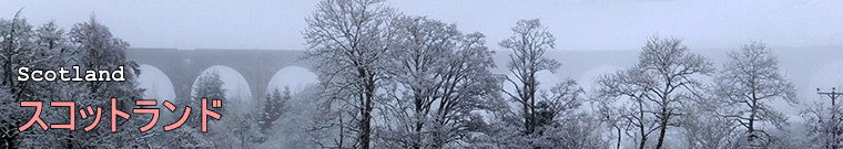 �X�R�b�g�����h